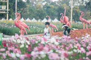 BIB: 
                            <button type="button" onclick="openModal(27343963)" class="btn btn-primary btn-sm float-right btn-popup" data-toggle="modal" data-target=".modal-high-quality">
                        <i class="fas fa-shopping-cart"></i> Add to Cart
                    </button>
                                            <button type="button" onclick="isThisMe(27343963, true)" class="btn btn-success btn-sm float-right btn-popup btn-isme hidden" data-toggle="tooltip" data-placement="bottom" title="นี่คือรูปของคุณใช่ไหม คลิกที่นี่เพื่อเอาเข้าอัลบั้ม">
                        <i class="fas fa-plus"></i> Add to album
                    </button>
                    <button type="button" onclick="isThisMe(27343963, false)" class="btn btn-warning btn-sm float-right btn-popup btn-isnotme hidden">
                        <i class="fas fa-ban"></i> Remove from album
                    </button>